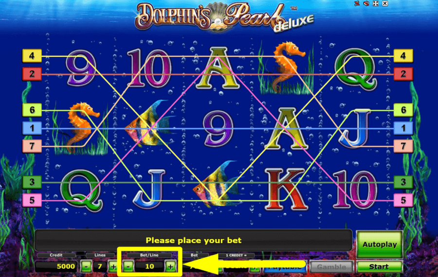 Dolphins Pearl Deluxe DÉTERMINEZ VOTRE PARI.