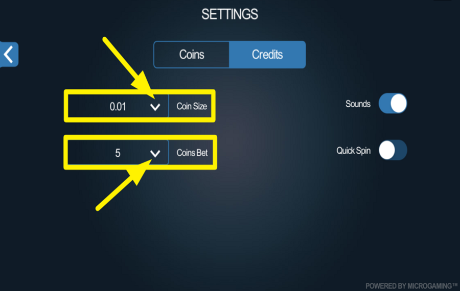 Dragonz ACCÉDEZ AUX PARAMÈTRES DE MISE AVANCÉS.