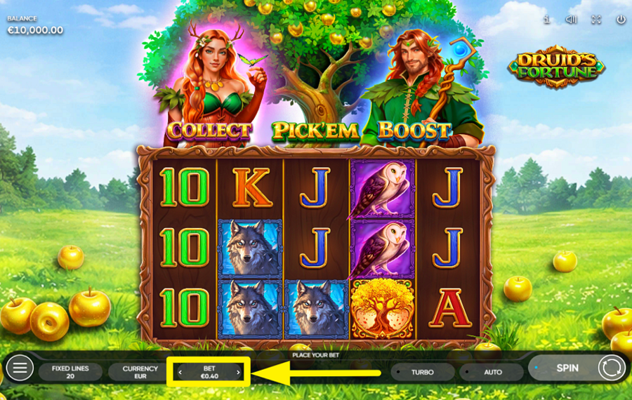 Druids Fortune ENTSCHEIDEN SIE SICH ÜBER IHREN EINSATZ.