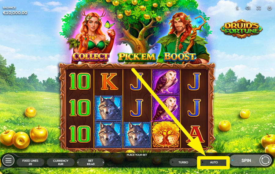 Druids Fortune AUTOMATISCHE WIEDERGABE AKTIVIEREN.