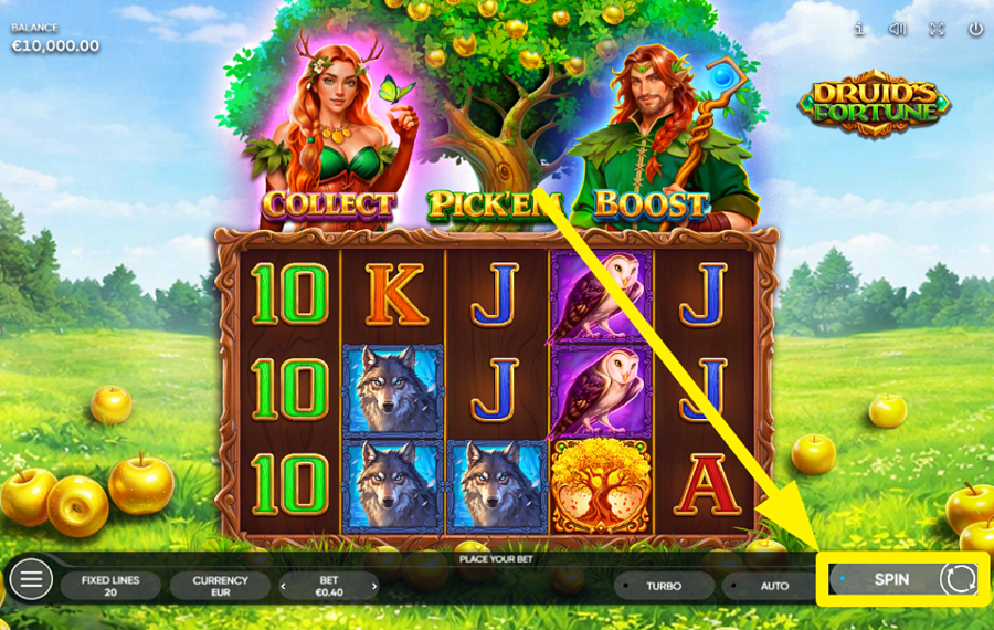 Druids Fortune STÜRZEN SIE SICH INS GESCHEHEN!