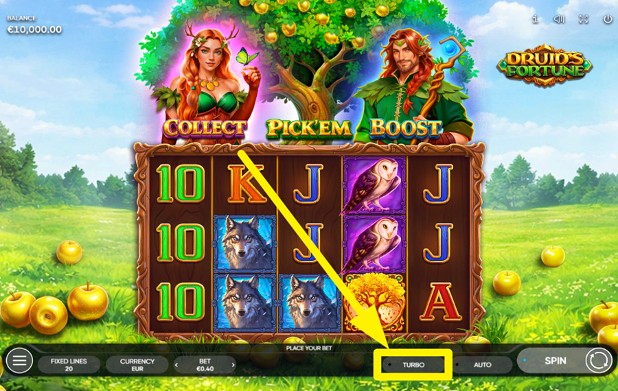 Druids Fortune BESCHLEUNIGEN SIE DIE HANDLUNG.