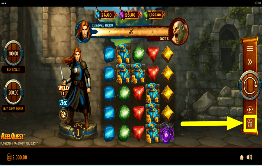 Dungeons and Dragons Reel Quest CONTROLLA LA TUA POSTA IN PAGAMENTO.