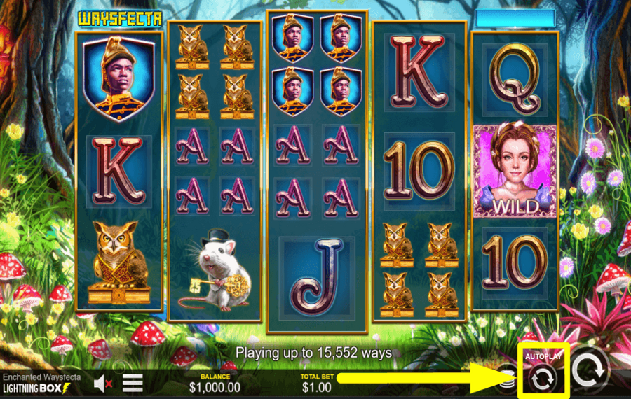 Enchanted Waysfecta USE THE AUTOPLAY FEATURE.