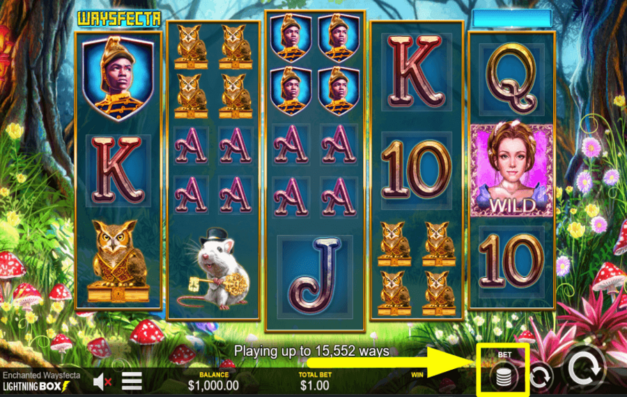 Enchanted Waysfecta DETERMINE THE WAGER.