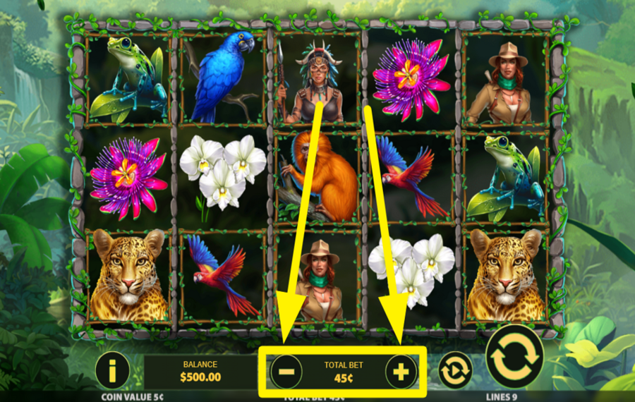 Exploration Amazon HAGA SU APUESTA.