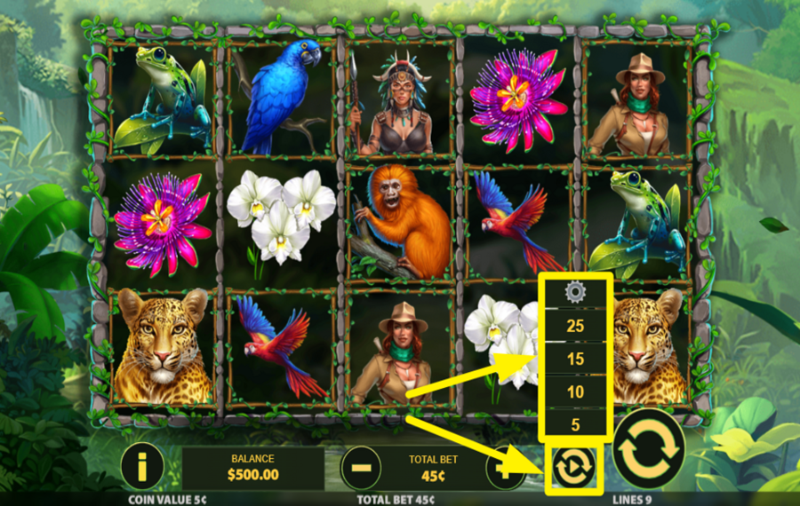 Exploration Amazon ELIGE GIROS AUTOMÁTICOS.