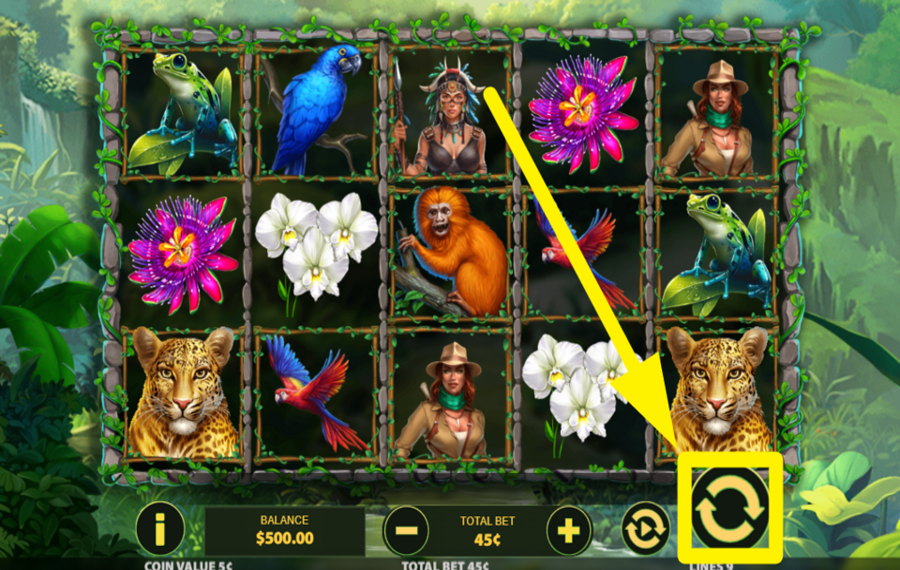 Exploration Amazon GIRA LOS CARRETES.