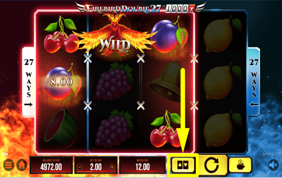 Firebird Double 27 1000x TAKE A RISK.