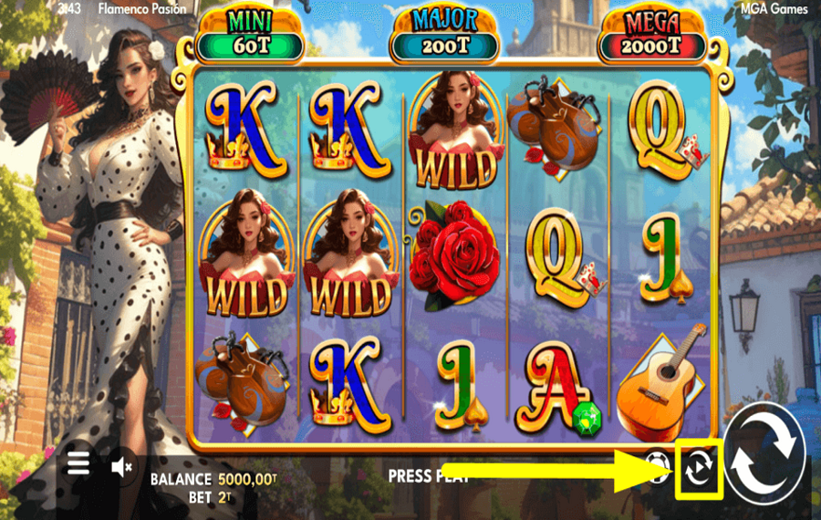 Flamenco Passion ENTRER EN LECTURE AUTOMATIQUE.