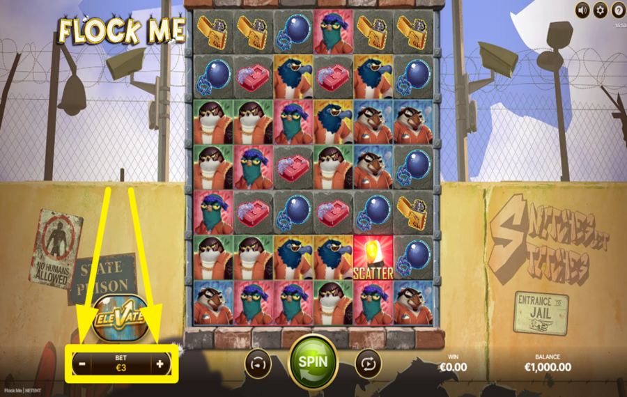 Flock Me DECIDE ON YOUR BET.