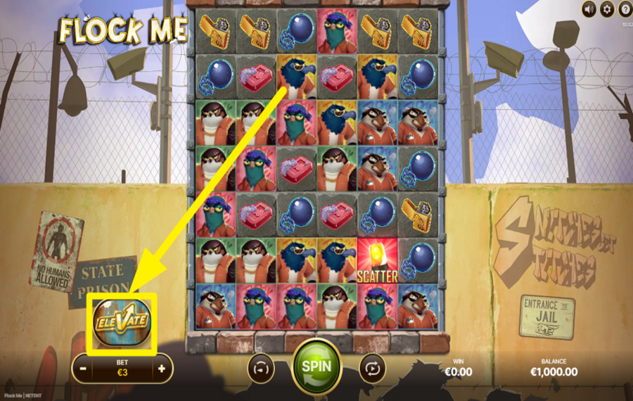 Flock Me TAKE ADVANTAGE OF THE ELEVATE MODE.