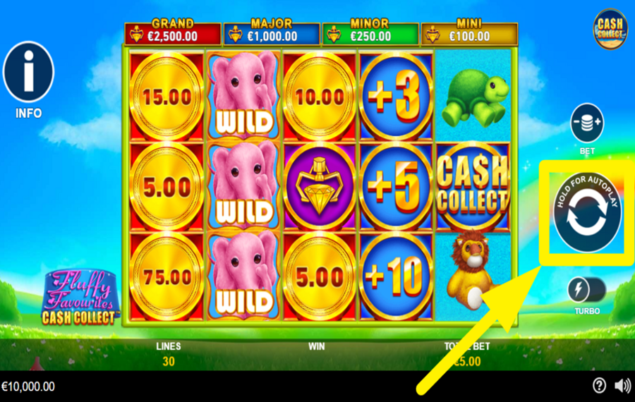 Fluffy Favourites Cash Collect DREHEN SIE FÜR DEN SIEG!