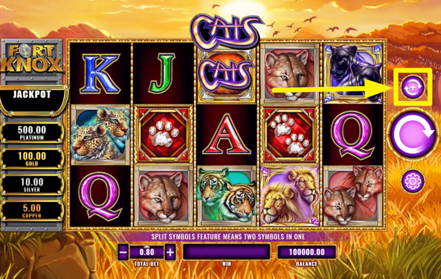 Fort Knox Cats DÉCLENCHEZ LA LECTURE AUTOMATIQUE.