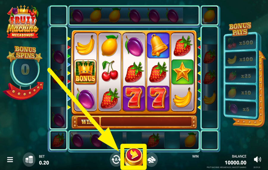 Fruit Machine Megabonus ENTER THE ACTION!