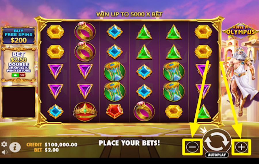 Gates of Olympus Pachi MODIFY THE BET SETTINGS.