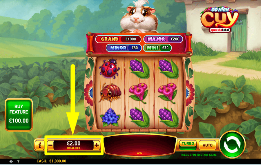 Go High Cuy Apuesta Total SELECCIONA LA APUESTA.