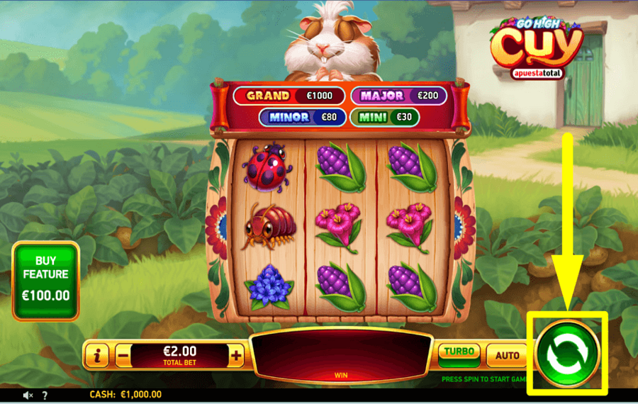 Go High Cuy Apuesta Total GIRA PARA OBTENER RECOMPENSAS.