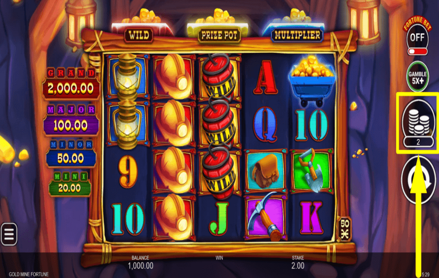 Gold Mine Fortune DETERMINE THE STAKE.
