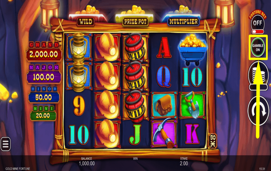 Gold Mine Fortune TAKE THE RISK.