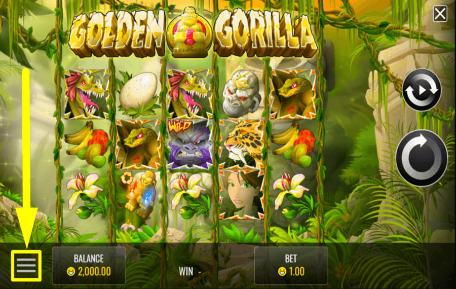 Golden Gorilla ДОСТУП К ВКЛАДКЕ «НАСТРОЙКИ».