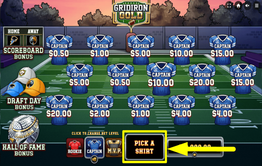 Gridiron Gold PICK A JERSEY.