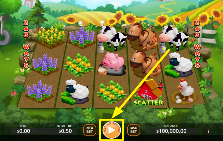 Happy Grange ENTER THE ACTION!