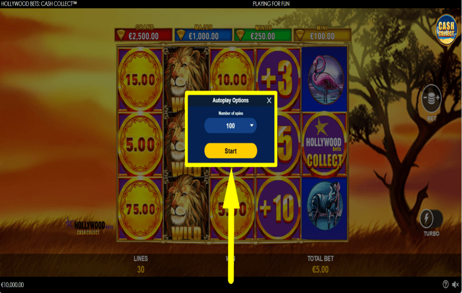 Hollywood Bets Cash Collect ENABLE AUTOPLAY.