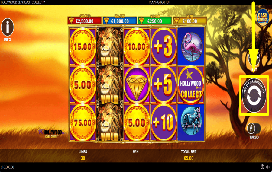 Hollywood Bets Cash Collect TIME TO GAMBLE.