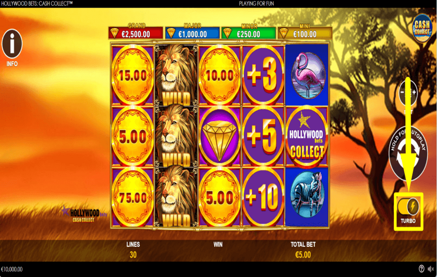 Hollywood Bets Cash Collect GO FULL SPEED.