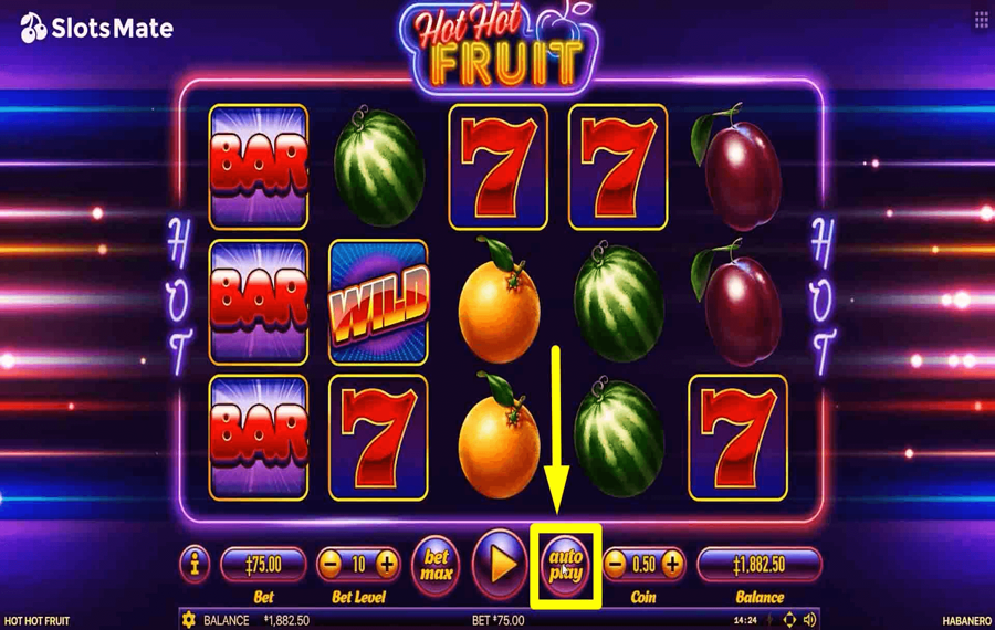 Hot Hot Fruit Utilisation de la fonction facultative « Lecture automatique ».