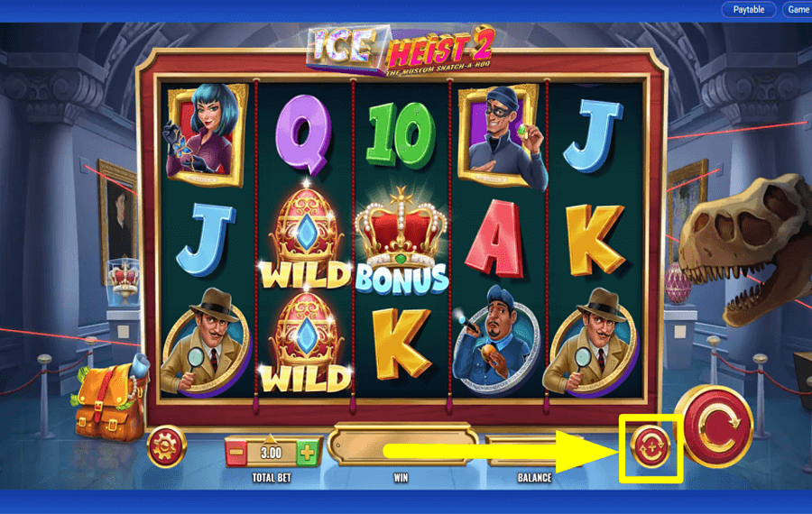 Ice Heist 2 The Museum Snatch a Roo ACTIVER LA LECTURE AUTOMATIQUE.