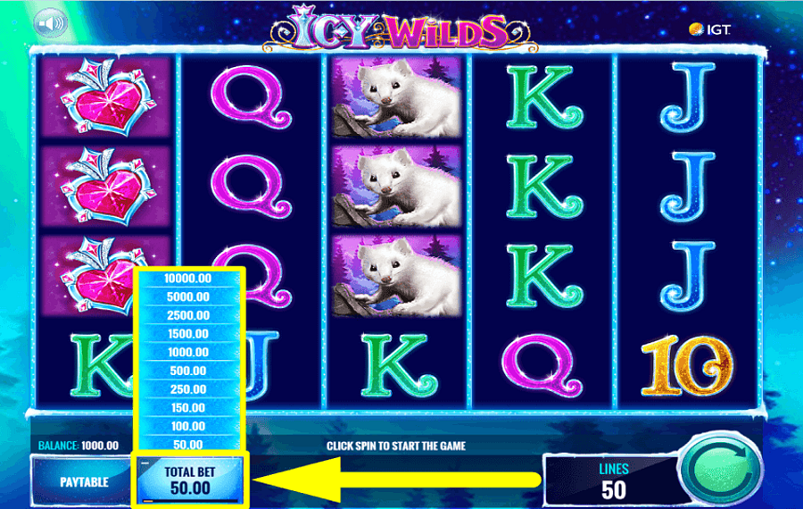 Icy Wilds FIXEZ LA MISE TOTALE.