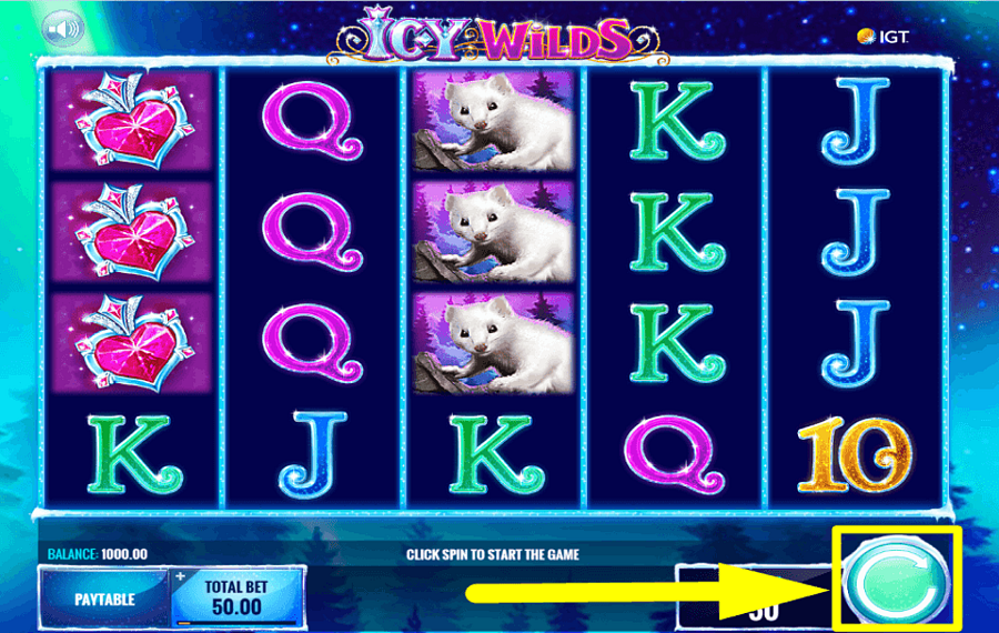 Icy Wilds Faites tourner les rouleaux.