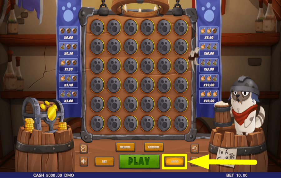 Im A Cat CONFIGURER LA LECTURE AUTOMATIQUE.