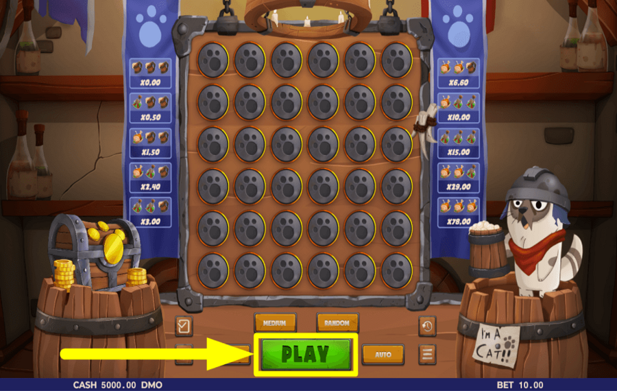 Im A Cat COMMENCEZ LE JEU.