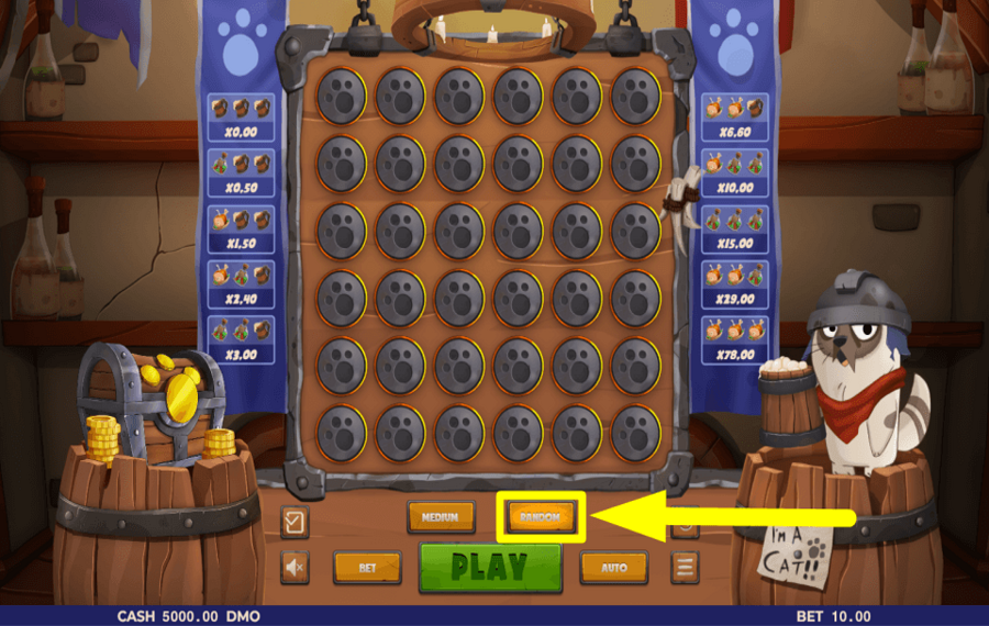 Im A Cat TRIER AU HASARD.