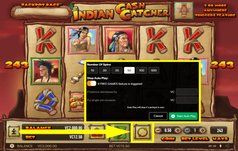 Indian Cash Catcher UTILISEZ LA FONCTION « LECTURE AUTOMATIQUE ».