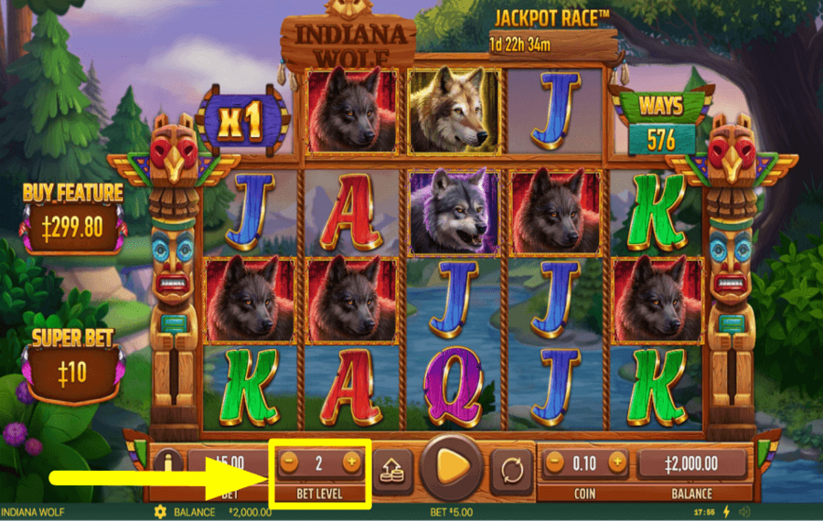 Indiana Wolf ASSIGN YOUR BET.