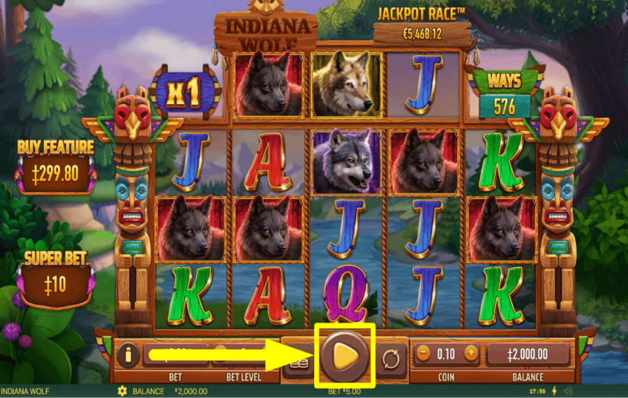 Indiana Wolf AIM FOR THE PRIZE.