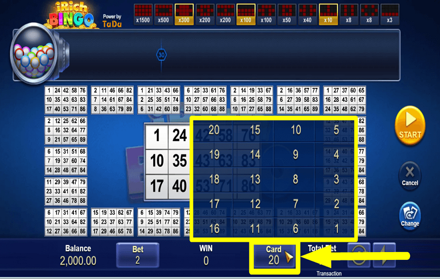 iRich Bingo ВЫБЕРИТЕ КАРТЫ.