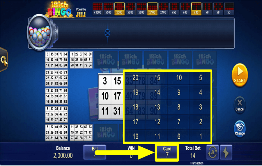 iRich Bingo SCEGLI LE CARTE.