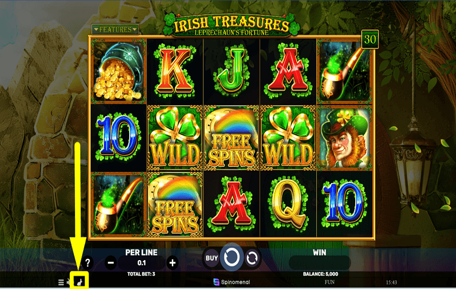 Irish Treasures Leprechauns Fortune CONTROL THE PACE.