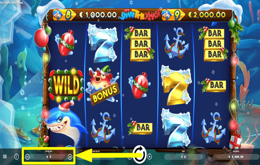 Its Shark Time Xmas Platzieren Sie Ihre Wette.