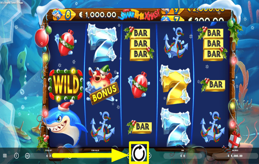 Its Shark Time Xmas MACHEN SIE EINE SPURENFAHRT.