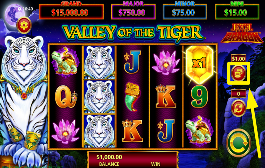 Jewel Dragon Valley of the Tiger ВЫБЕРИТЕ ОБЩУЮ СТАВКУ. 