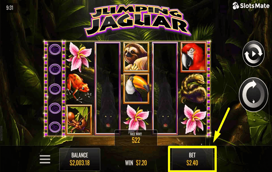 Jumping Jaguar Choose your bet amount. 