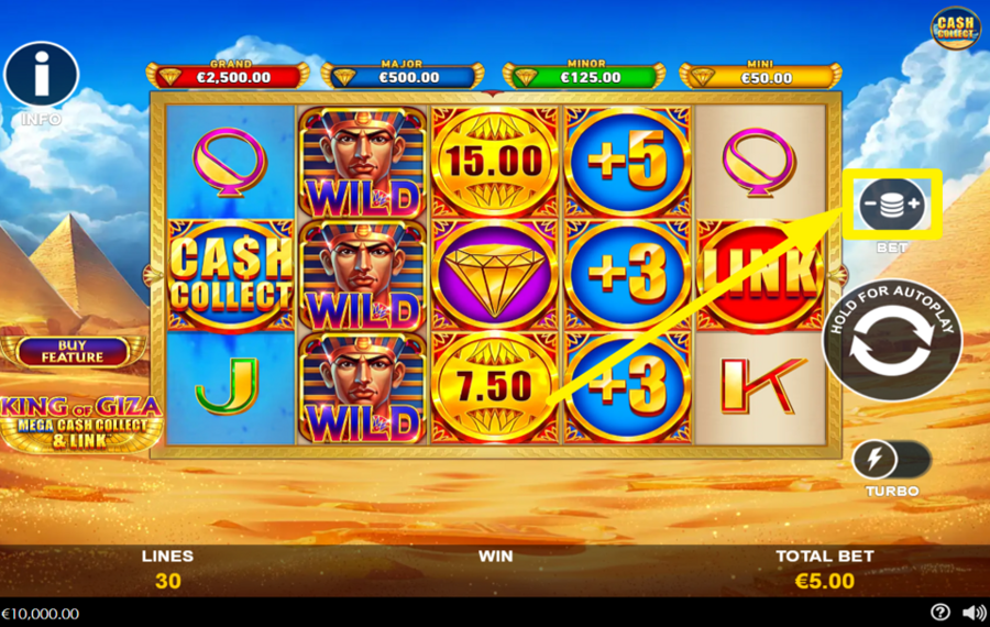 King of Giza Mega Cash Collect and Link PLACE YOUR BET.
