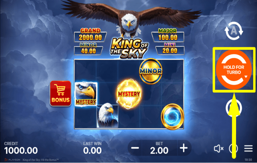 King of the Sky Hit the Bonus SPIN THE REELS.