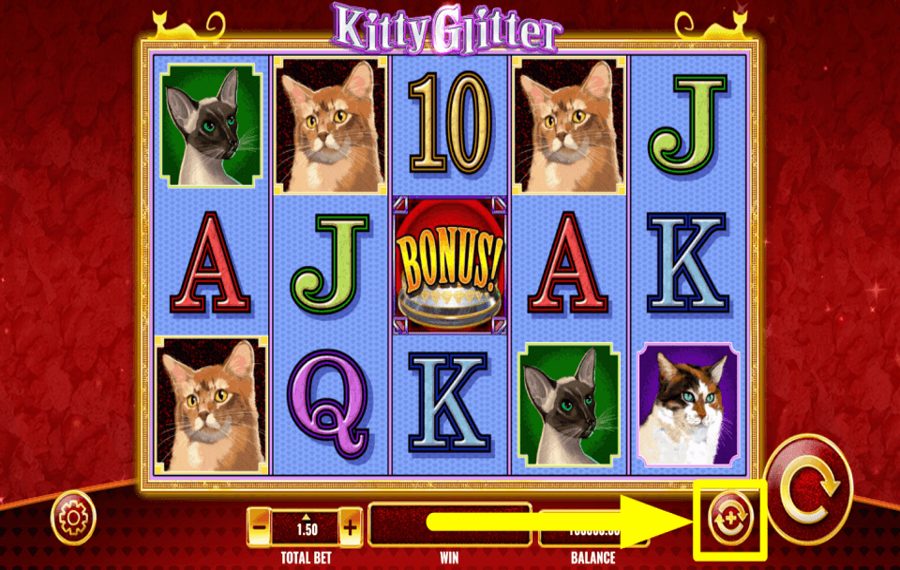 Kitty Glitter UTILISEZ LES TOURS AUTOMATIQUES.